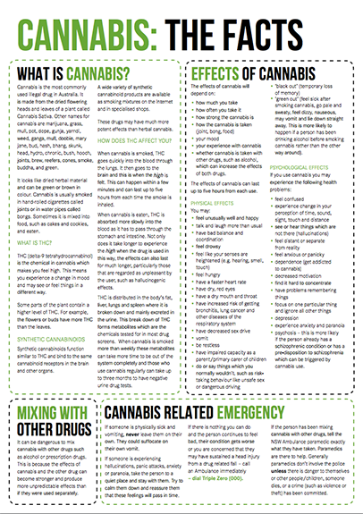 Cannabis Drug Facts