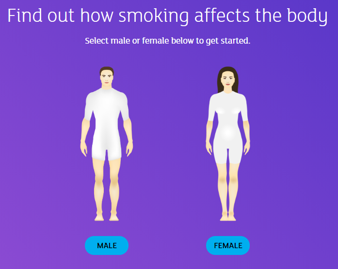 How-smoking-affects-the-body.png