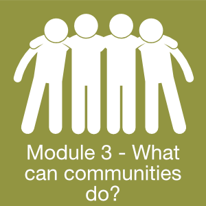 Module 3 What communities can do